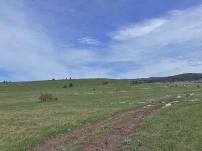 Прикрепленное изображение: DSCF8477.jpg